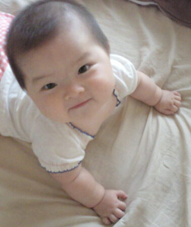 見上げる赤っこ