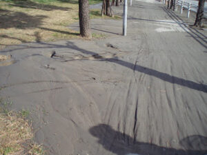 液状化した歩道　浦安市美浜近辺