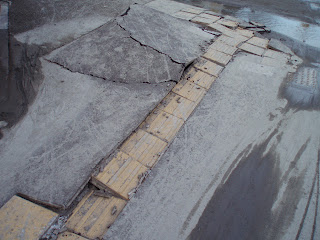 浦安市舞浜近辺